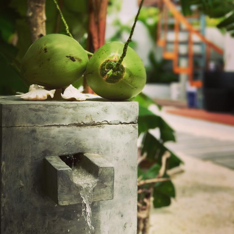 Veli Vilaa Dhiffushi Exterior foto
